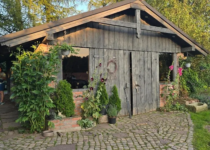 Lepiej Trafic Nie Mogliscie *