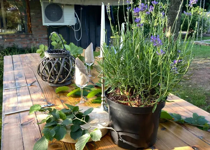 Luxury tent Lepiej Trafic Nie Mogliscie